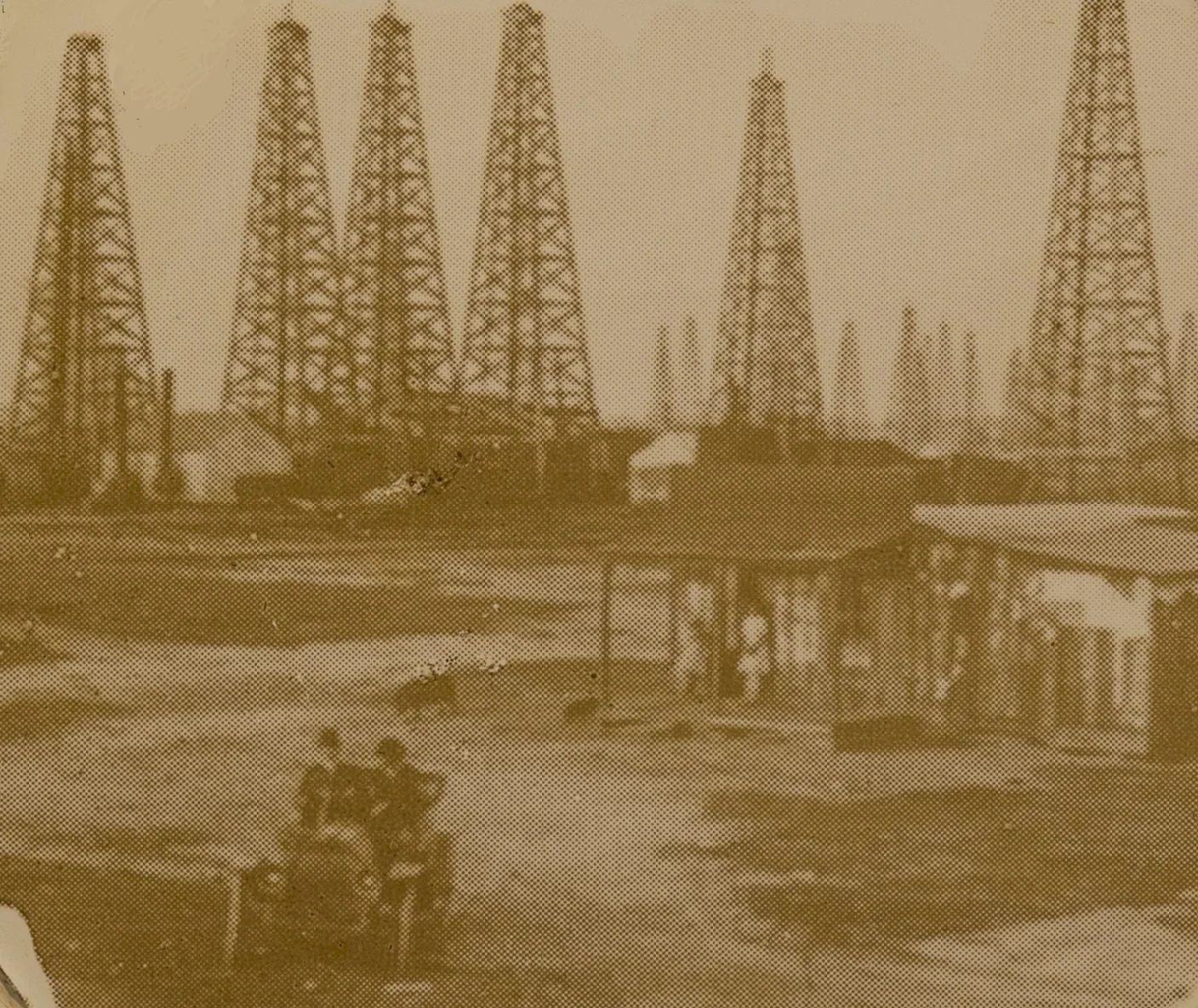 THE RISE OF OIL