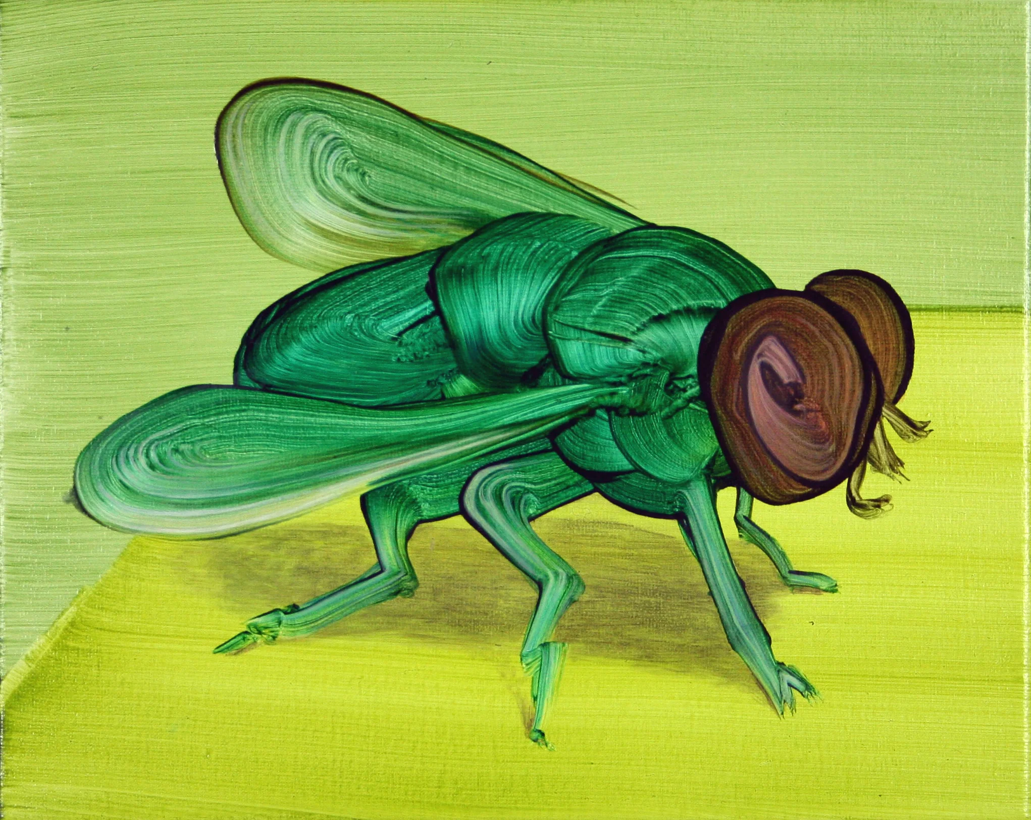 Little Fly (Green), 2015, oil on canvas; 24 x 30 cm 