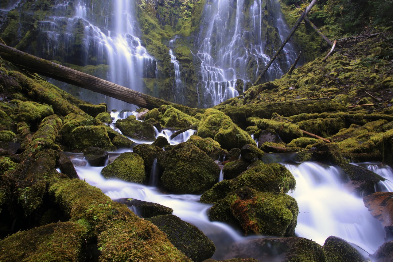 Proxy Falls 1588.jpeg