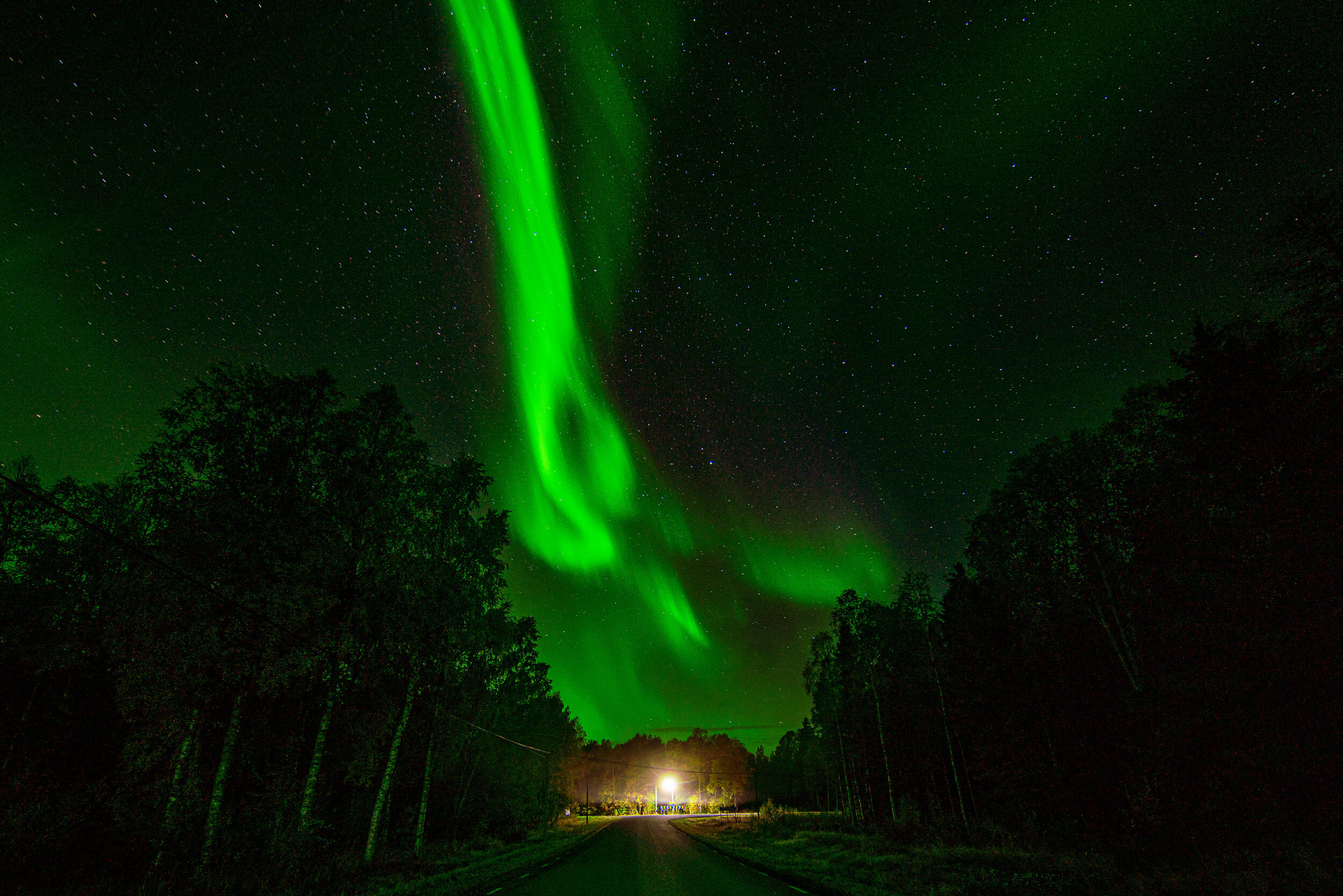 Northern Lights-0002.jpg