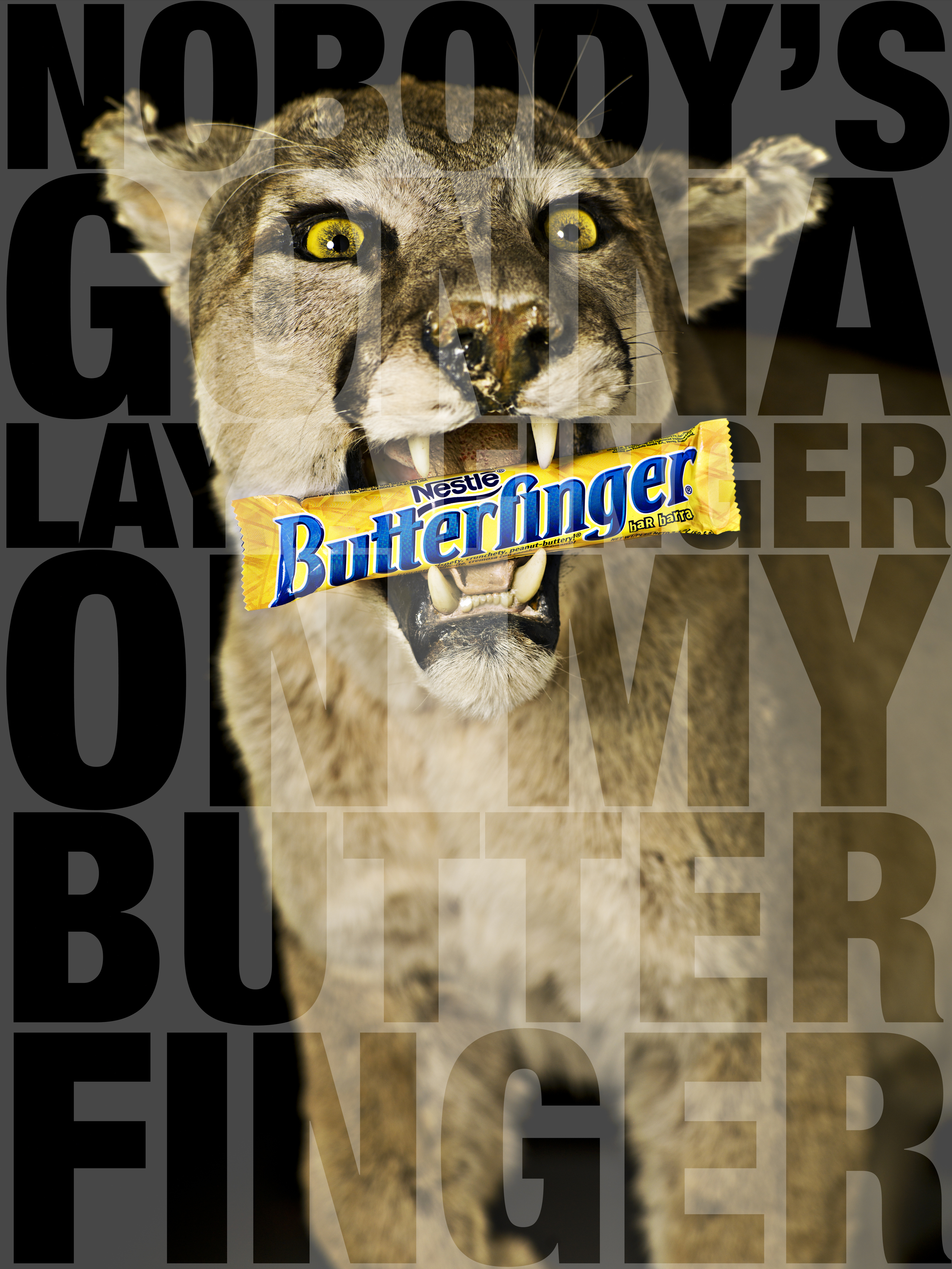 Cougar_with_copy.jpg