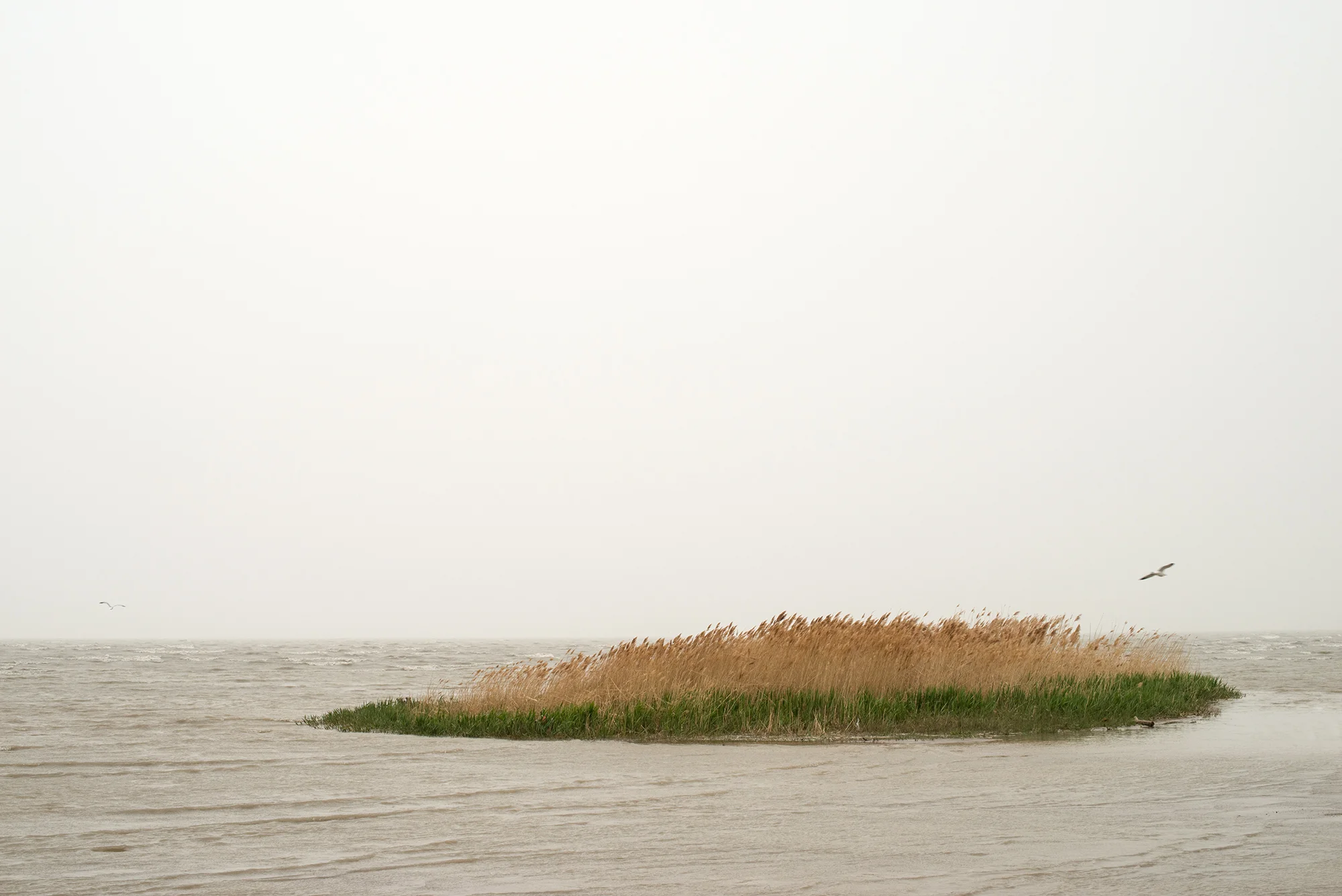 utah lake island.jpg