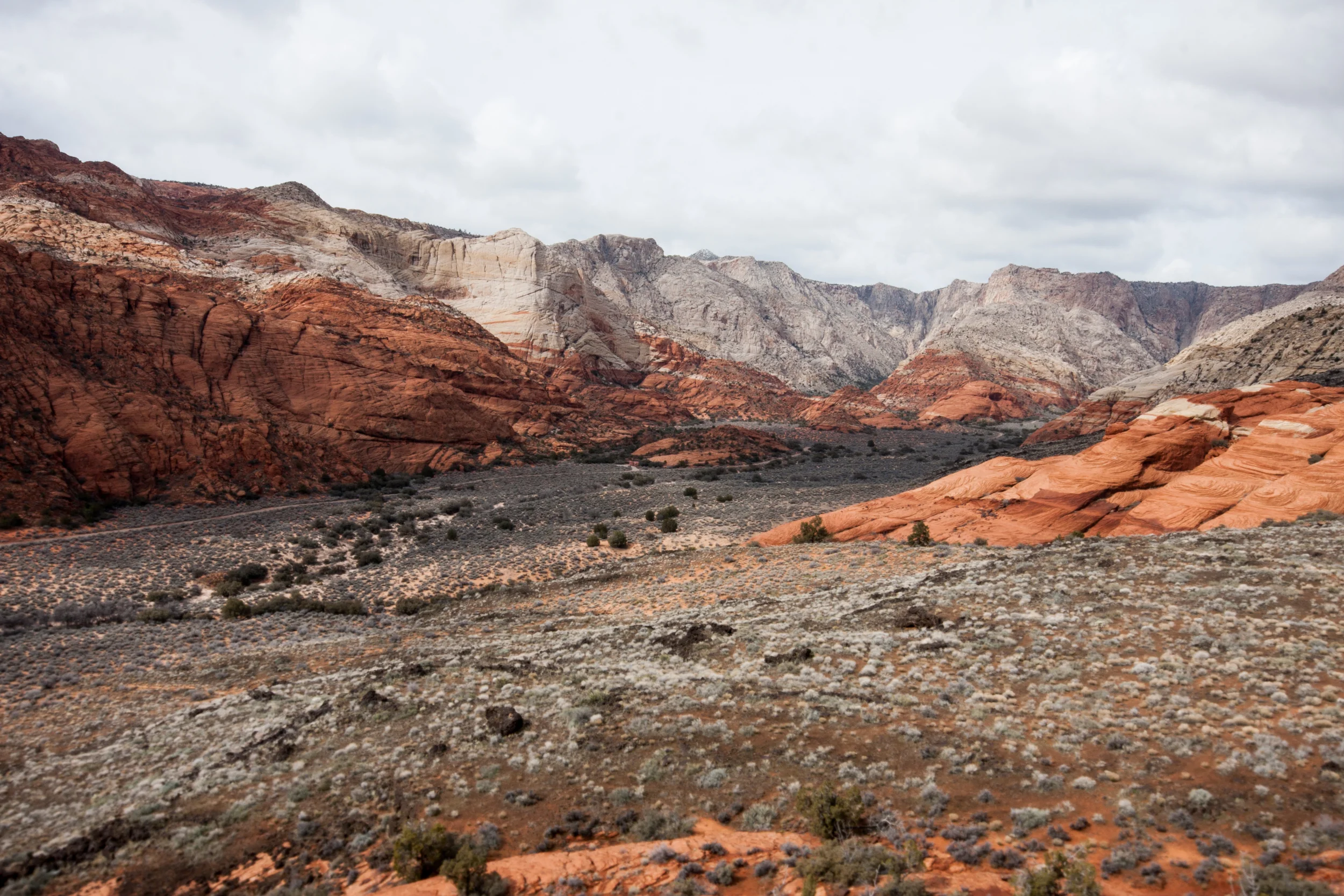 Snow Canyon.jpg