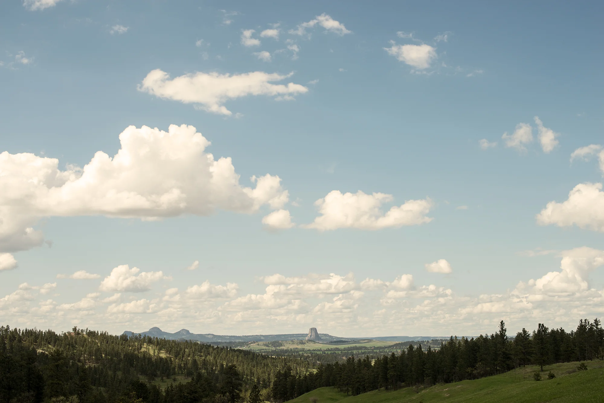 Devil's Tower.jpg