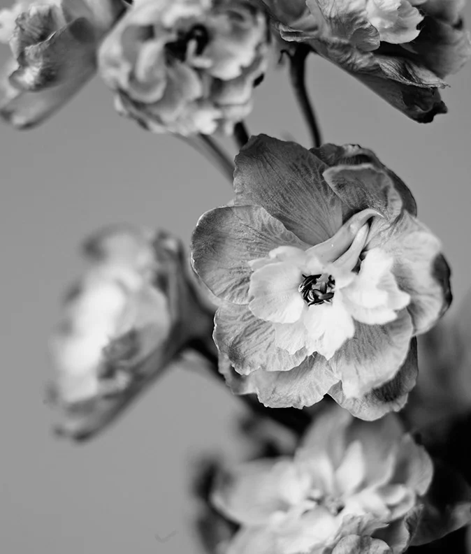 LOOK10_0773.jpg