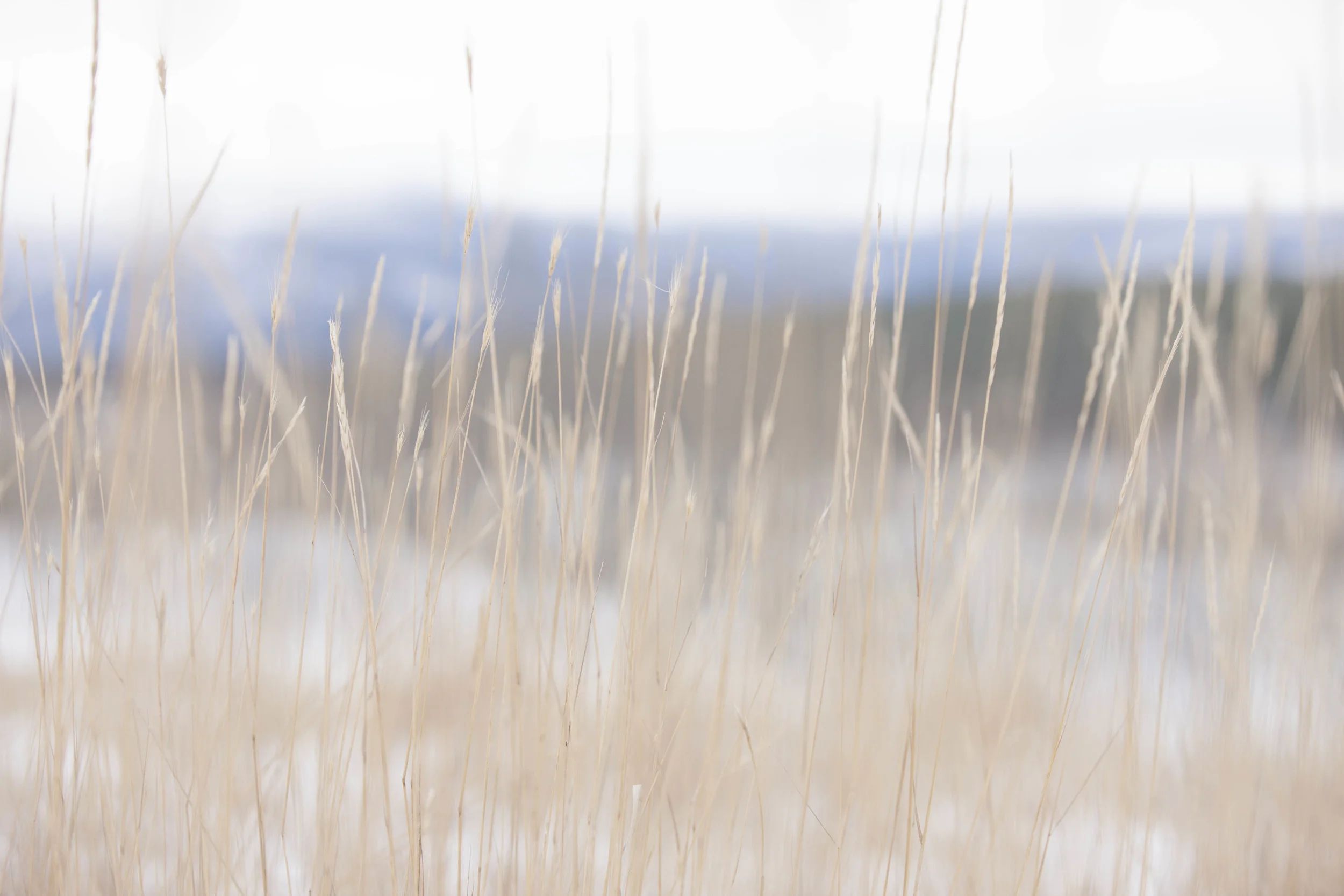 ARITZIA_NORTHERN_LIGHTS-171.jpg