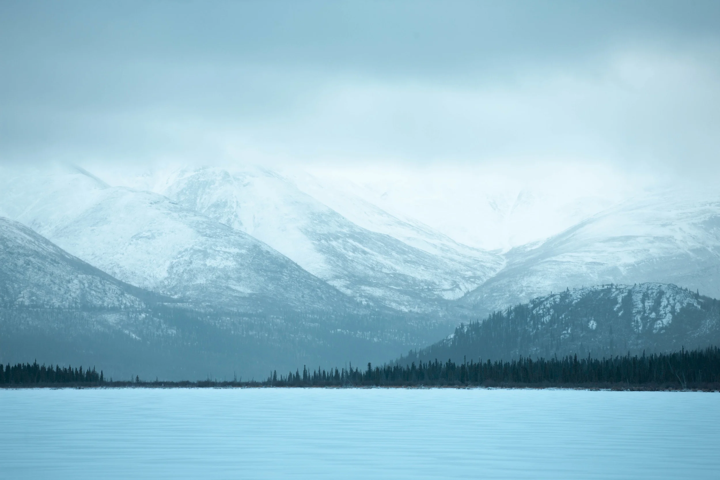 ARITZIA_NORTHERN_LIGHTS-290.jpg