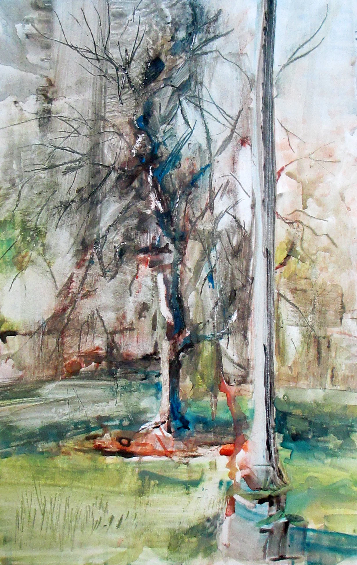 Tree in Deaf Park