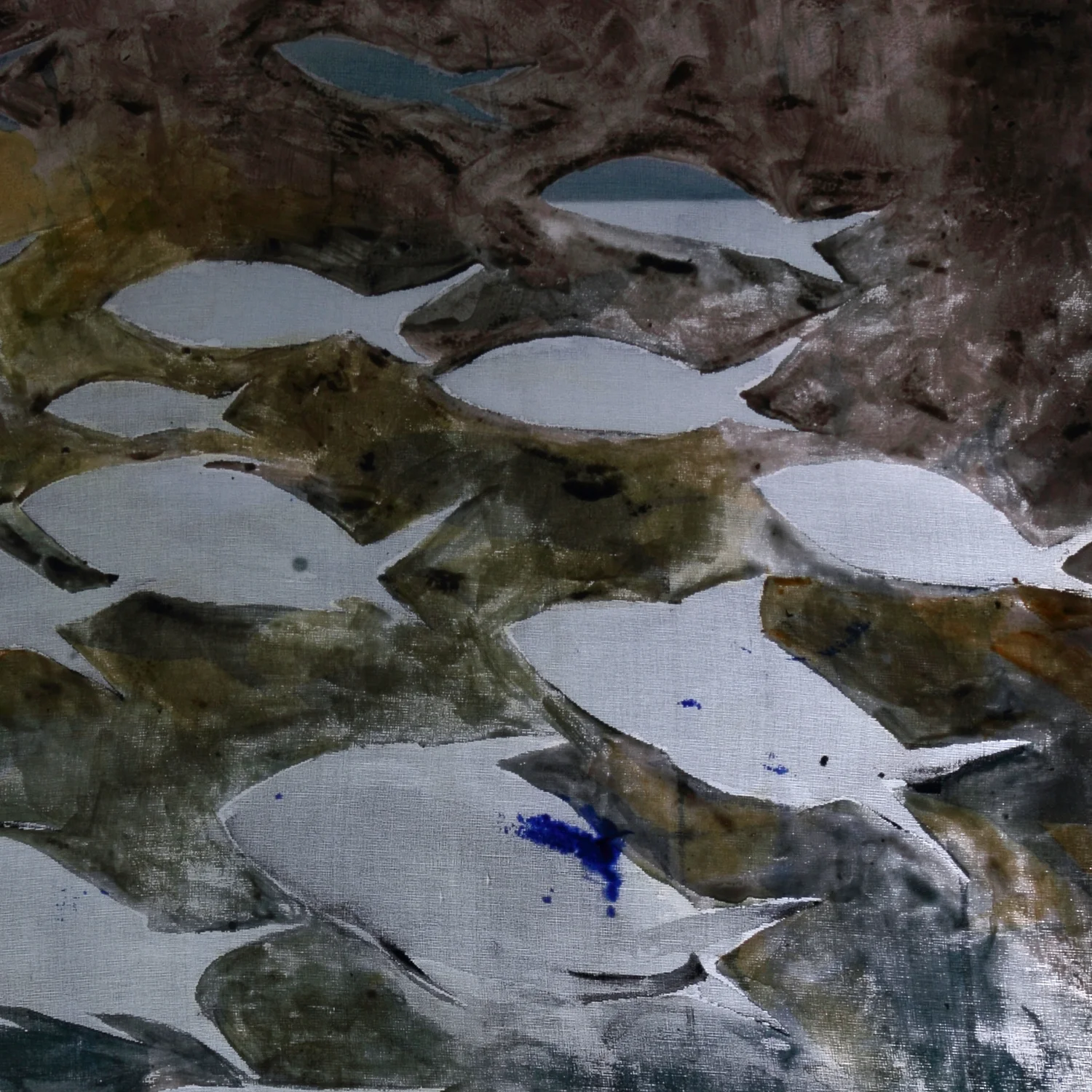 fish6.jpg