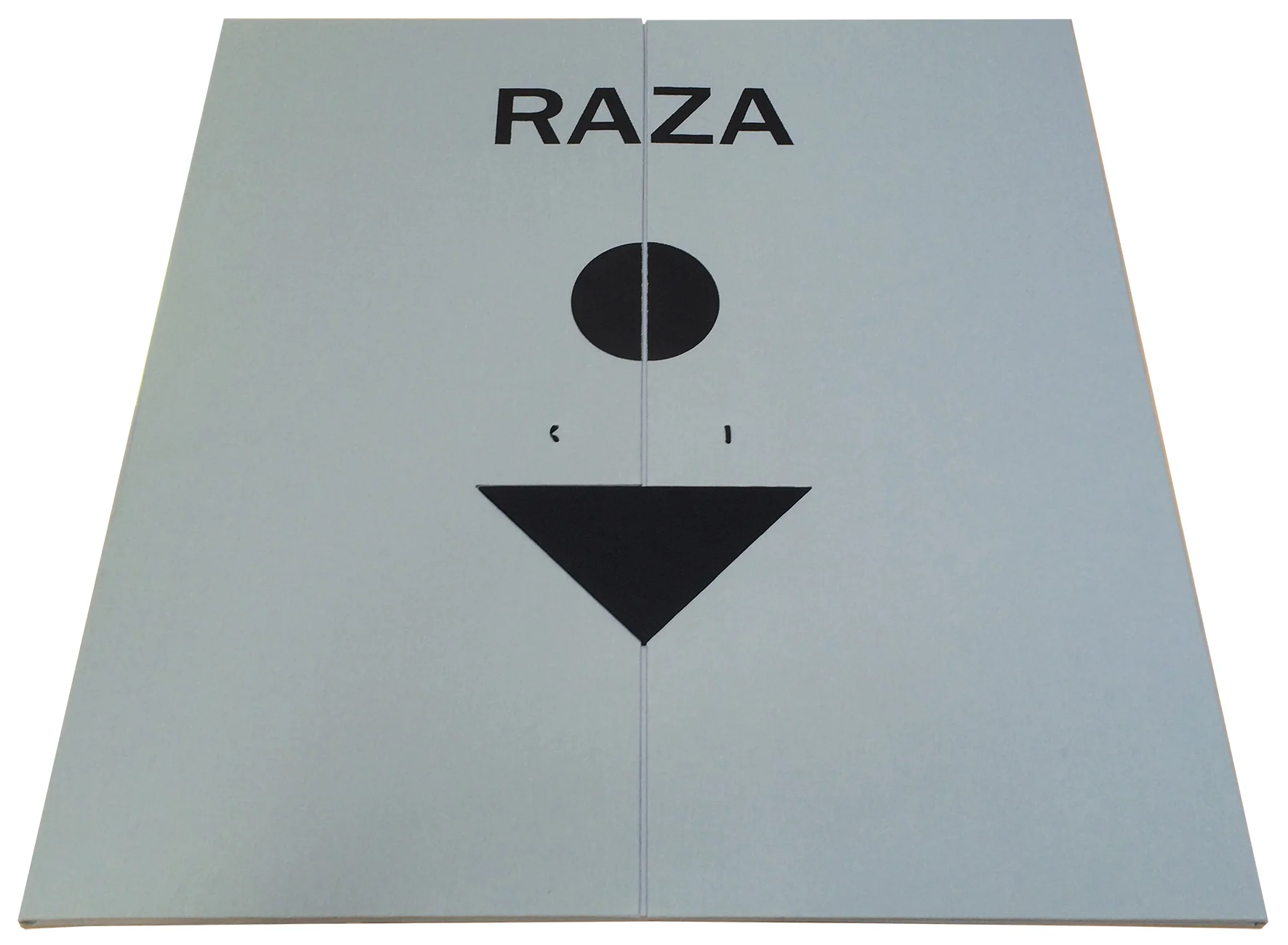 RAZA portfolio.JPG
