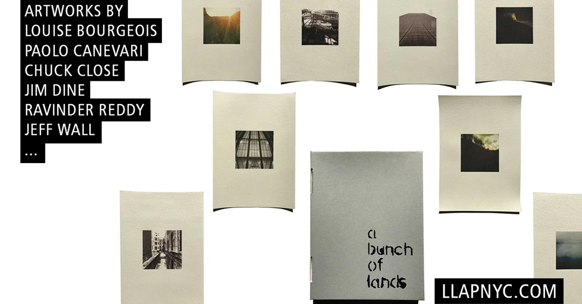 banner llapnyc.jpg