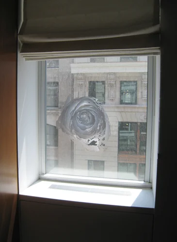 voluta_window