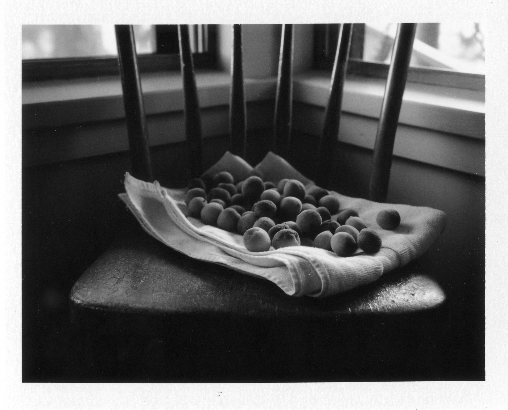 polaroid023
