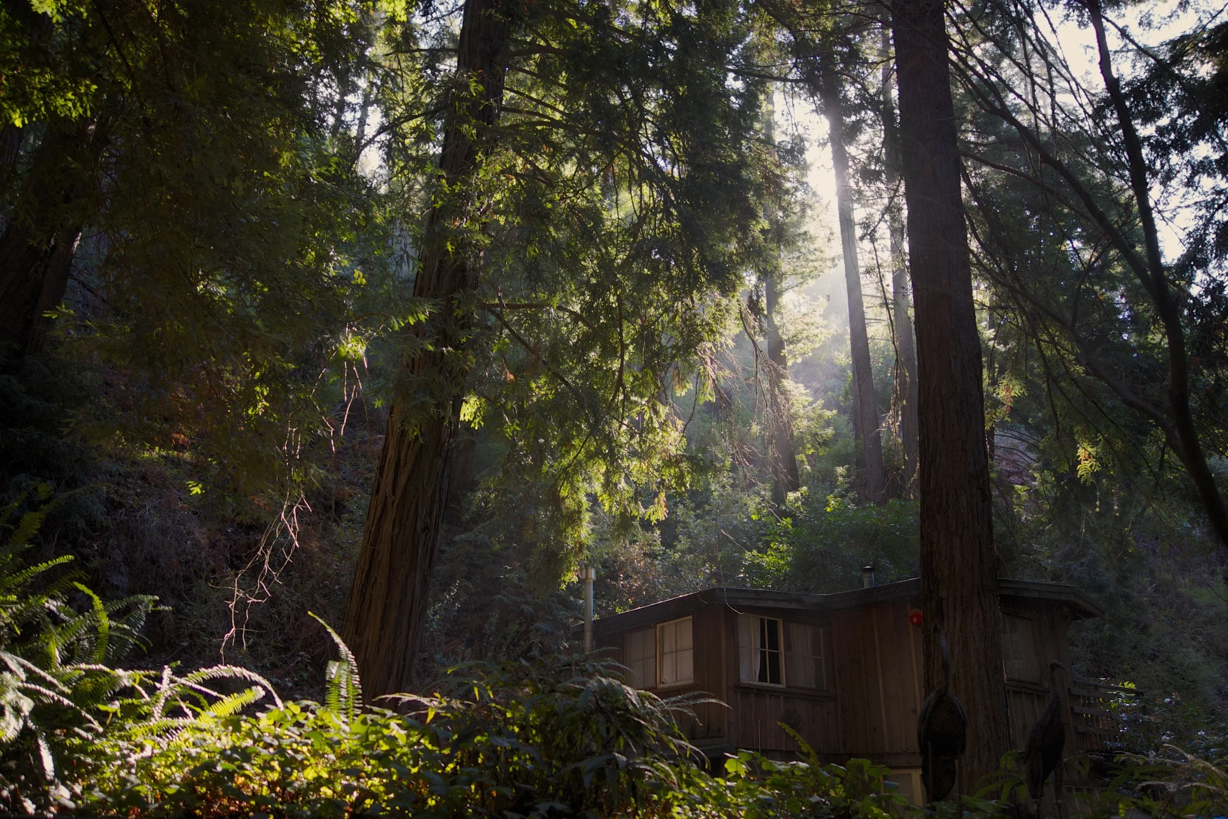 → Our view from the deck of our tiny + perfect private cabin, Castro Canyon.