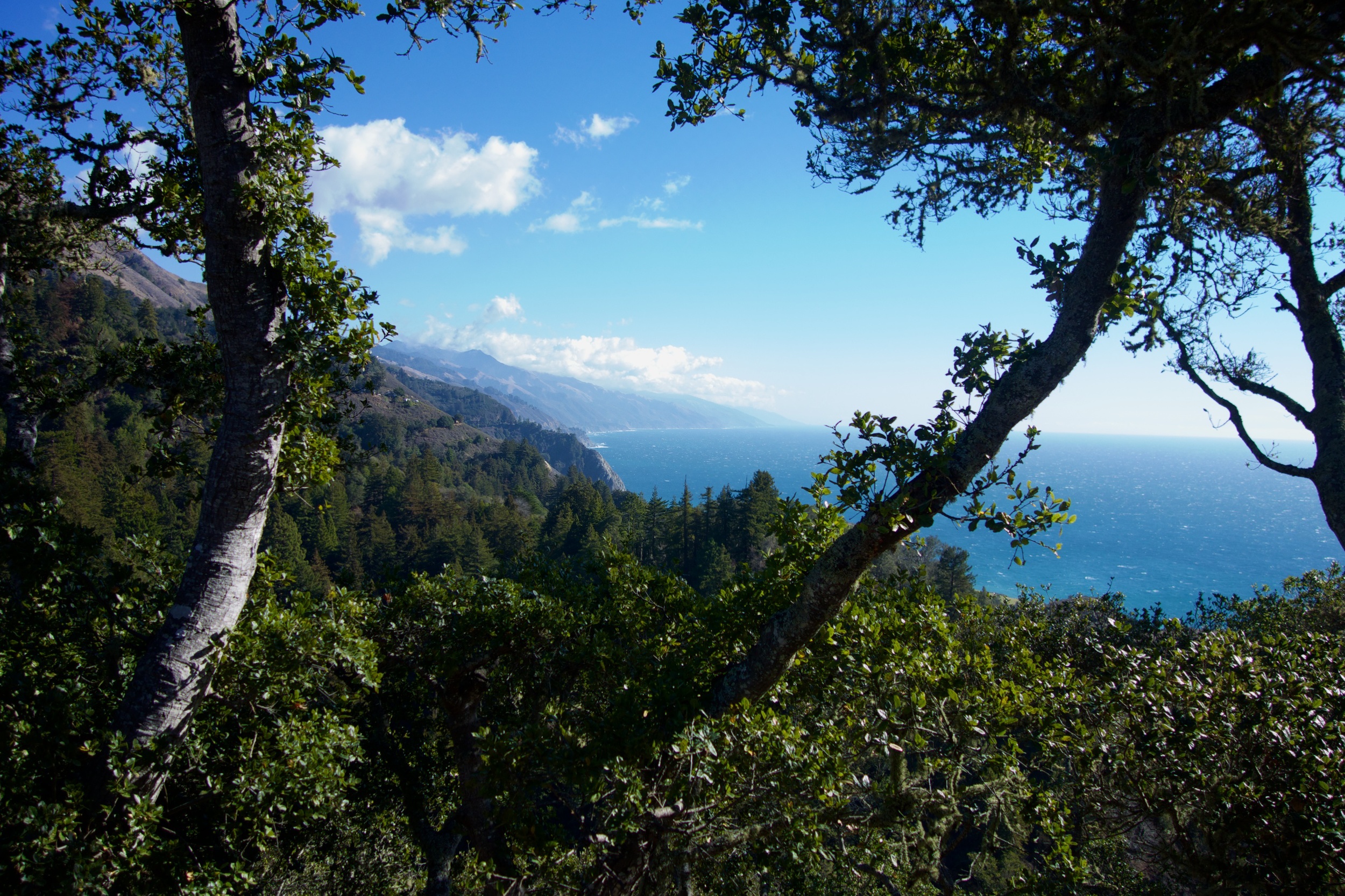 → Epic view from Nepenthe Restaurant.