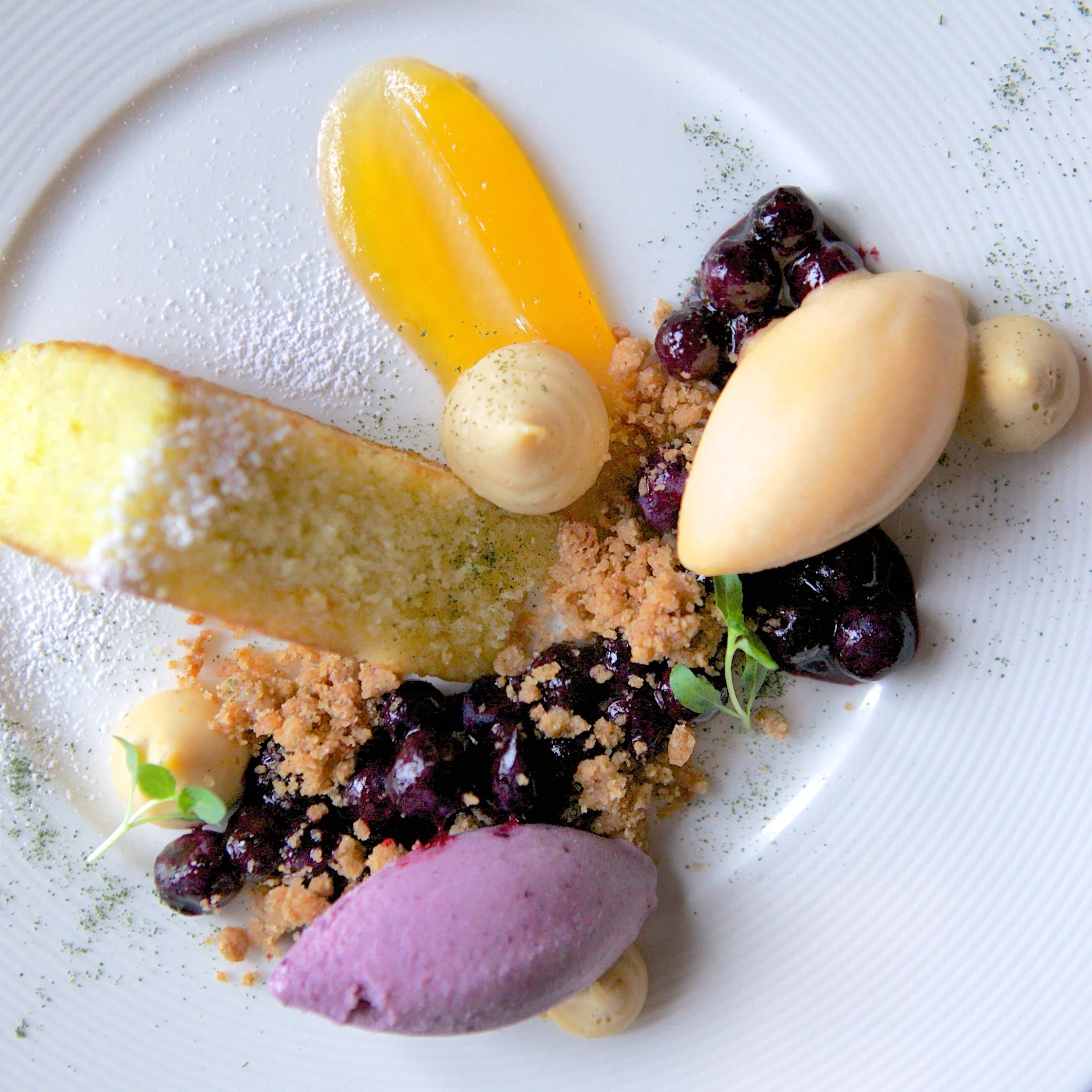 Above: Executive Pastry Chef Brian's never-ending amazing dessert creations! Lemon and vanilla bean poundcake, lemon verbena-blueberry sorbet, banana sorbet, fresh blueberry compote, shortbread crumble...