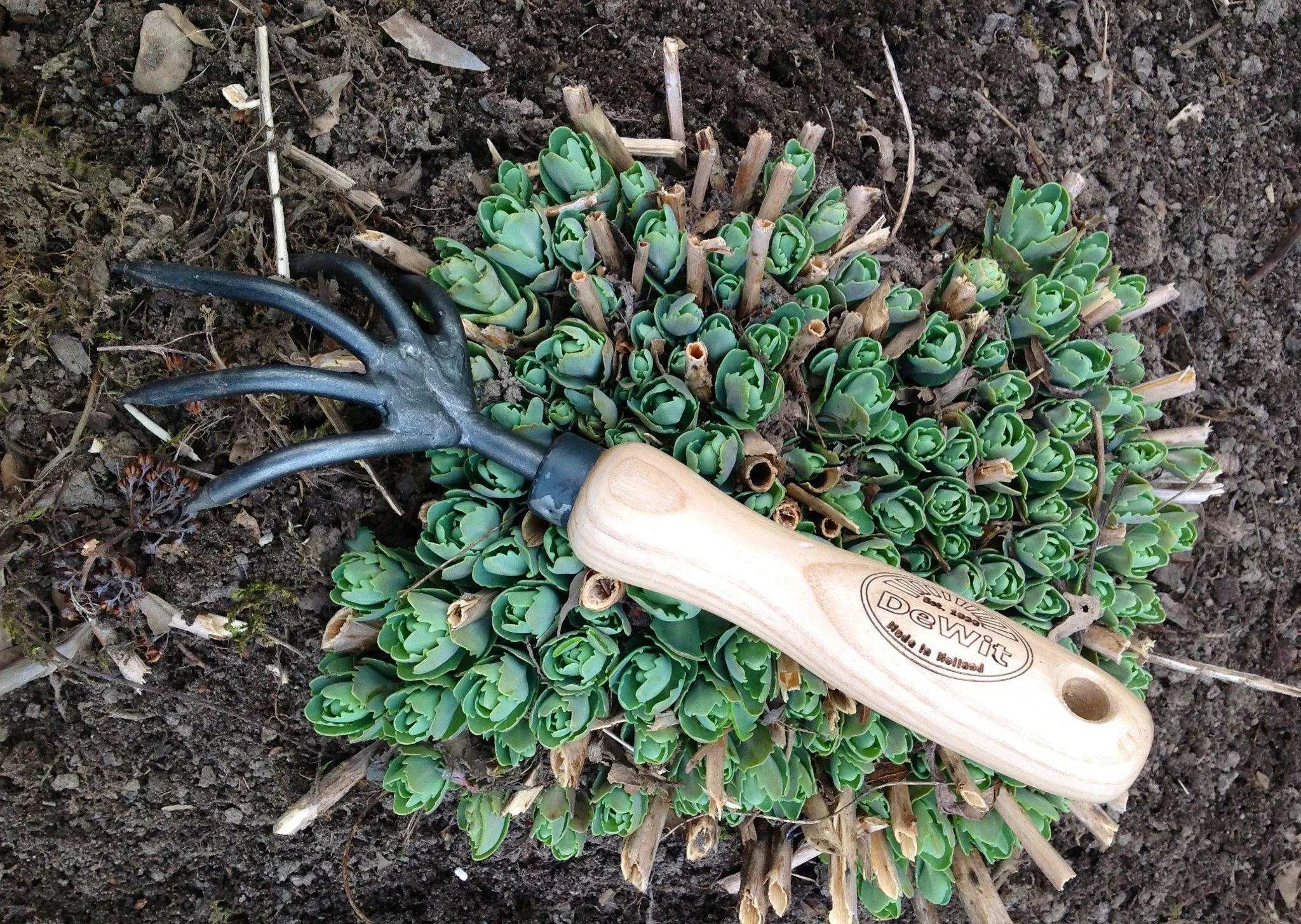 Photo Gallery — DeWit Garden Tools