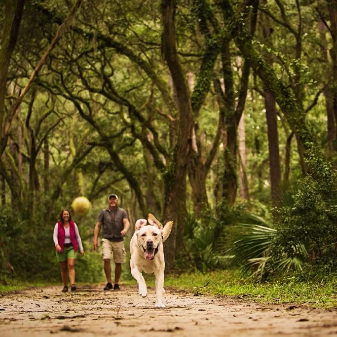 CCPB10223-DogTrail_Spread_Garden&Gun_LR.jpg