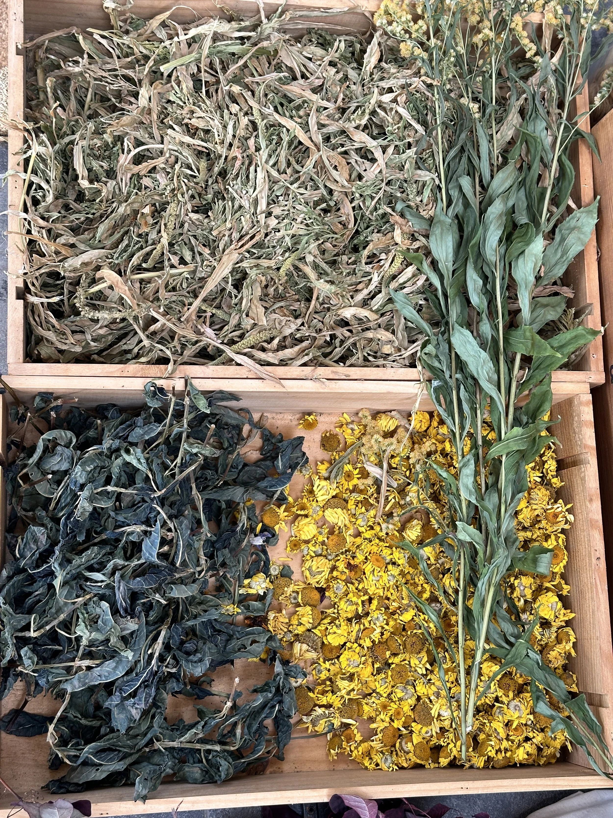 Using Indigo leaves for further pigment extraction post Water extraction.