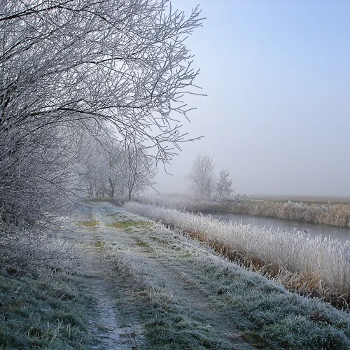 web-20.jpg