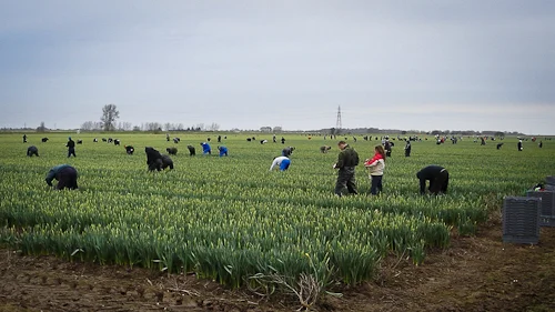farm images-6.jpg