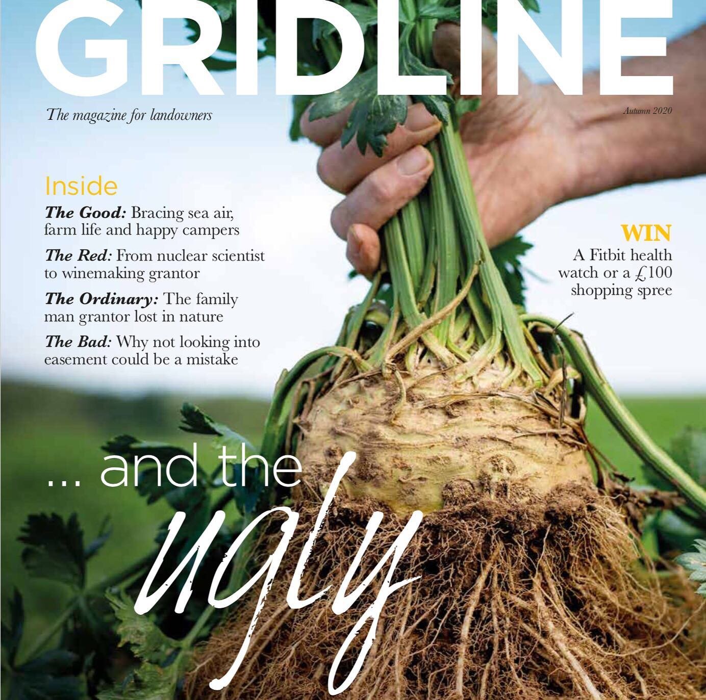 It may be The Ugly One but we think it makes an attractive front cover star here... plus there is an interview with Robin Buck talking celeriac in this latest edition of Gridline Magazine. 

#celeriac #theuglyone #jackbuckfarms #ukgrowers #celeriacgr