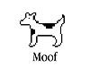 moof-b&w.jpg