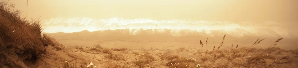 header_grass.jpg