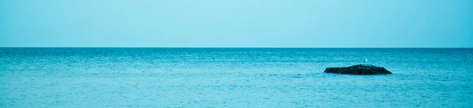 header_pete lake.jpg