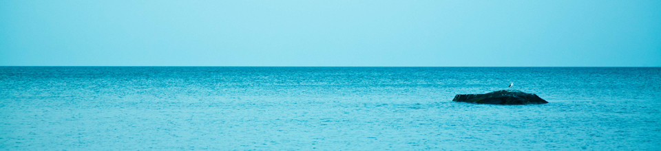 header_wading river2.jpg