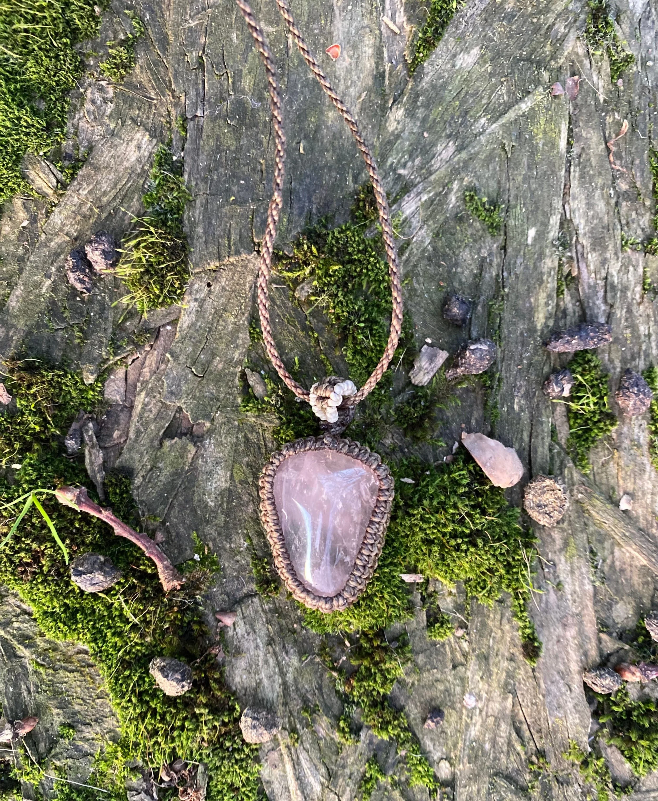 WhatsApp Image 2026-01-05 at 11.39.44 AM.jpeg