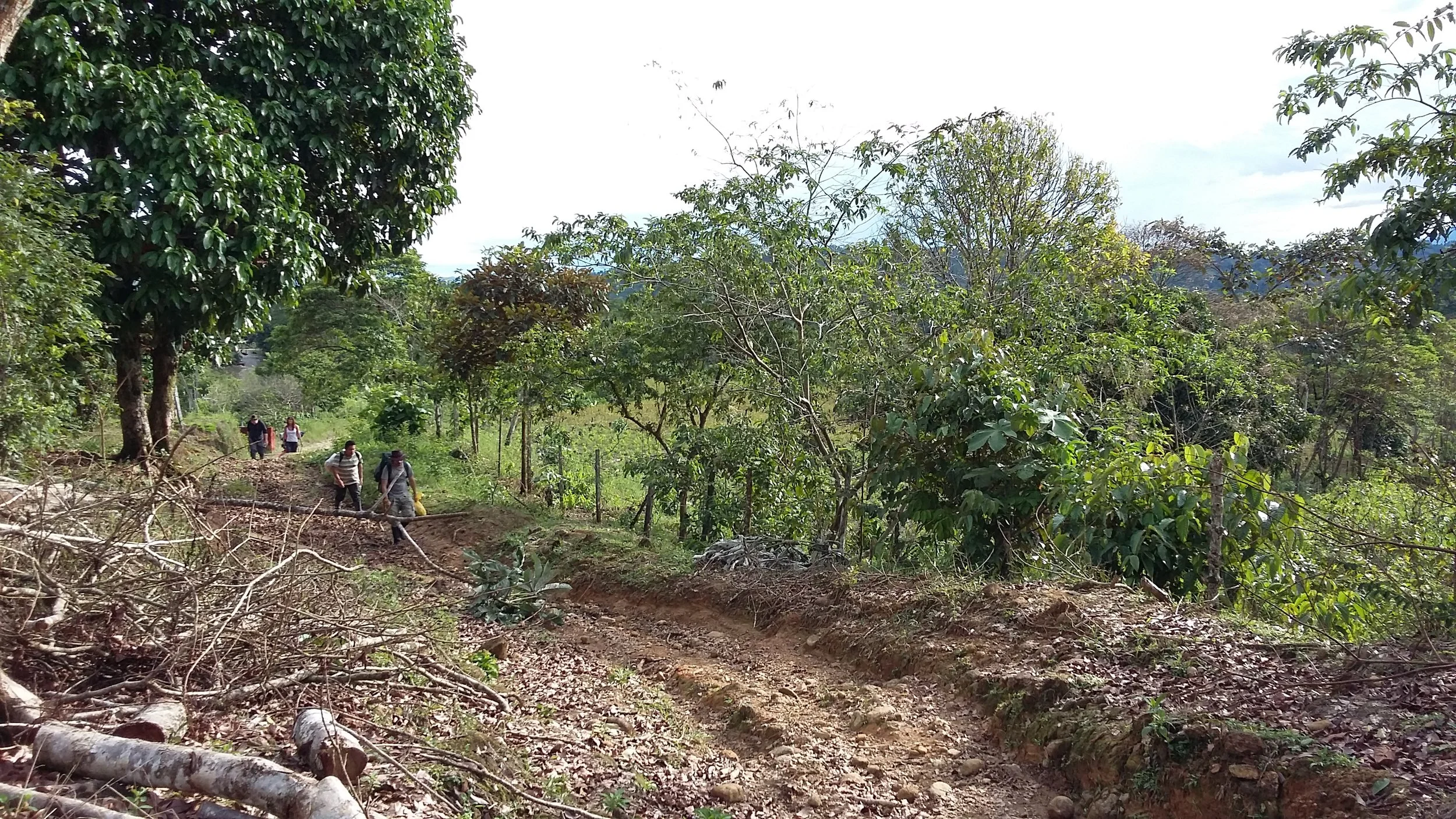 20161106_160459.jpg