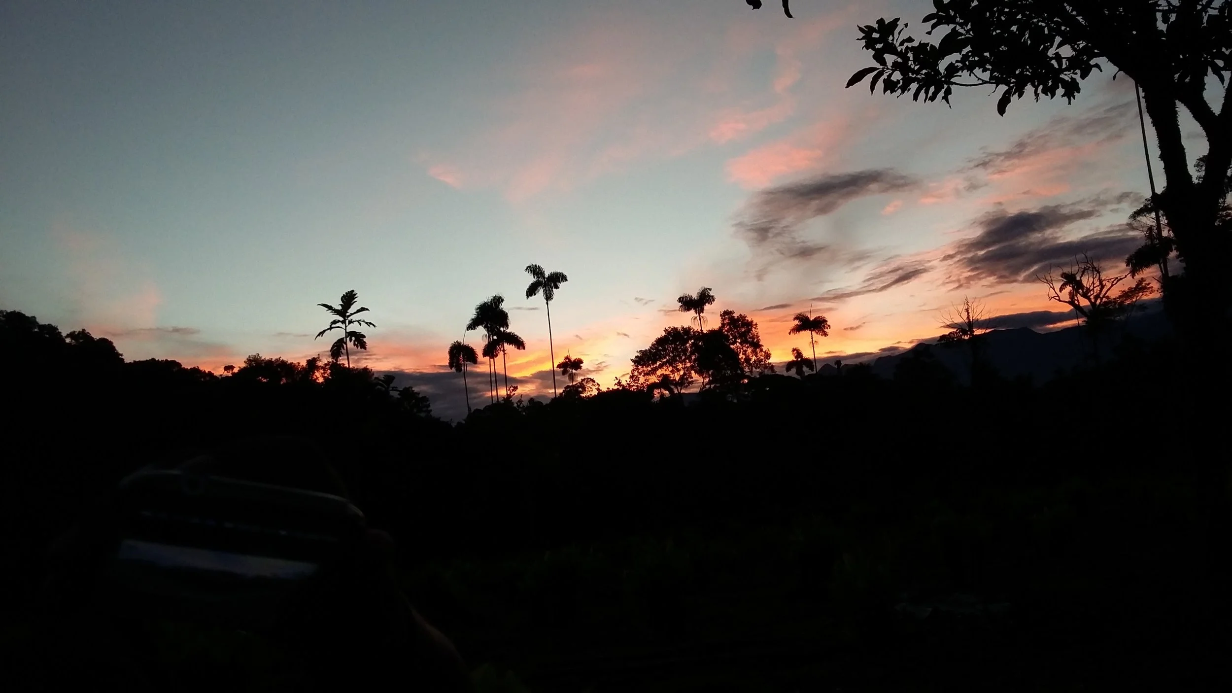 20161106_180543.jpg