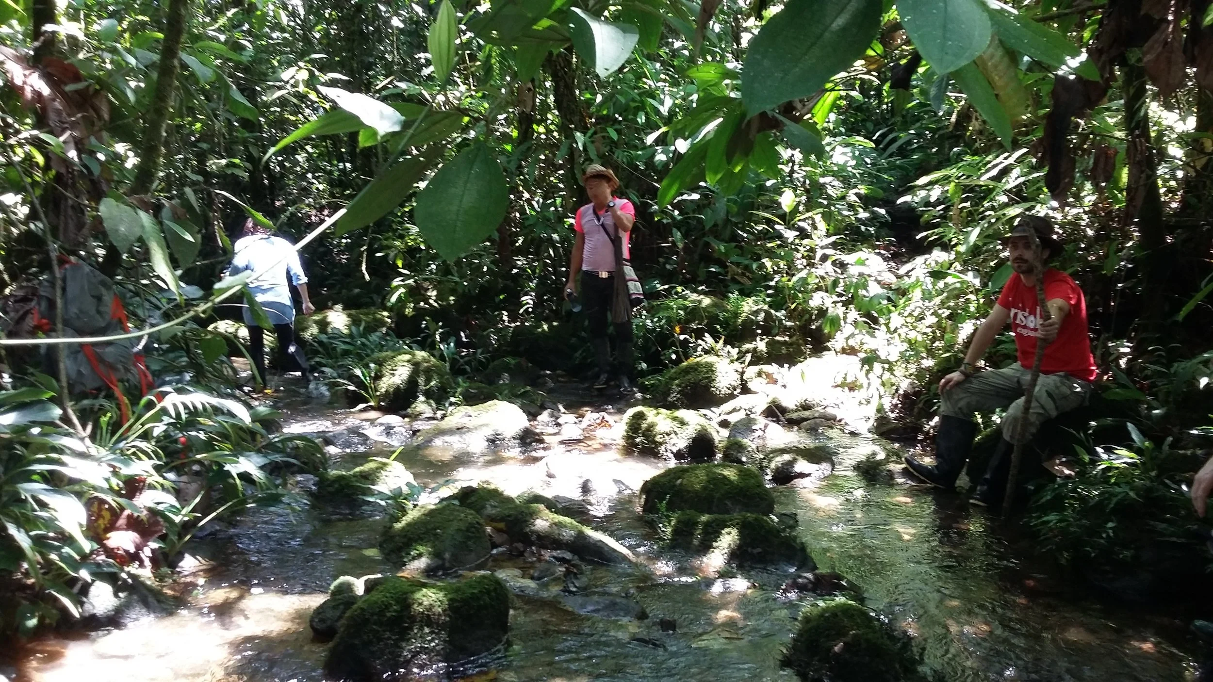 20161107_114549.jpg