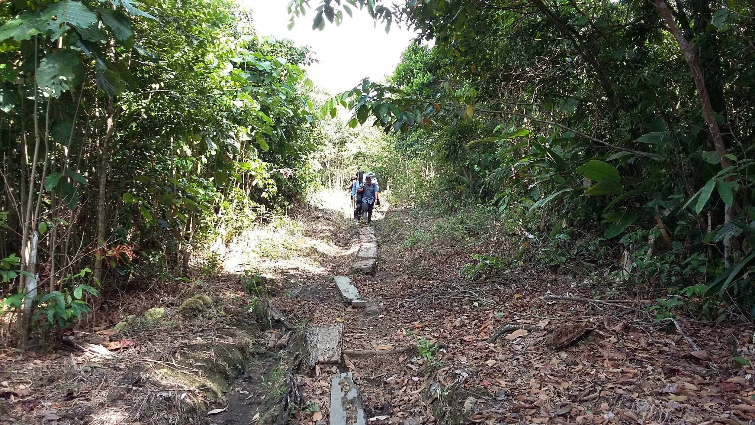 20161108_093746.jpg
