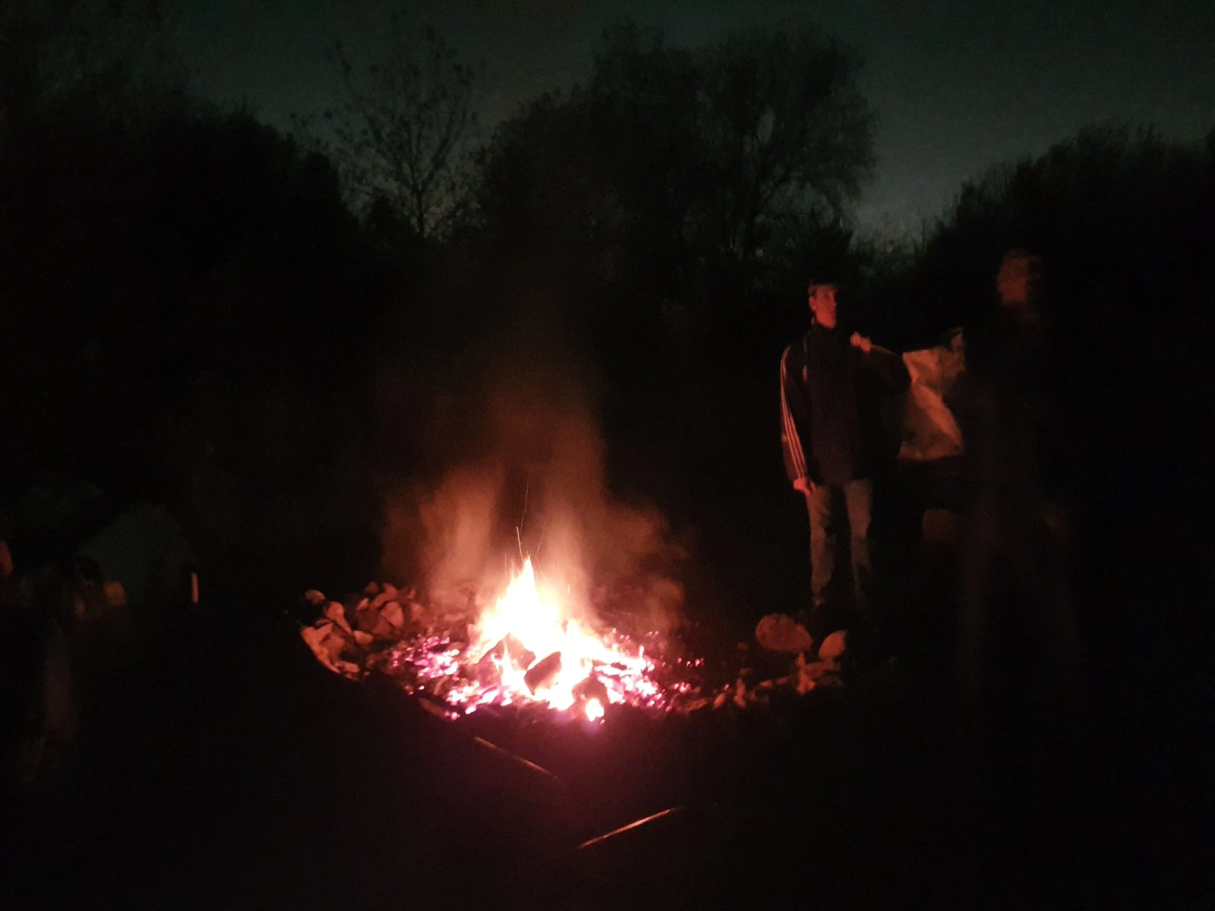 20201104_180203.jpg