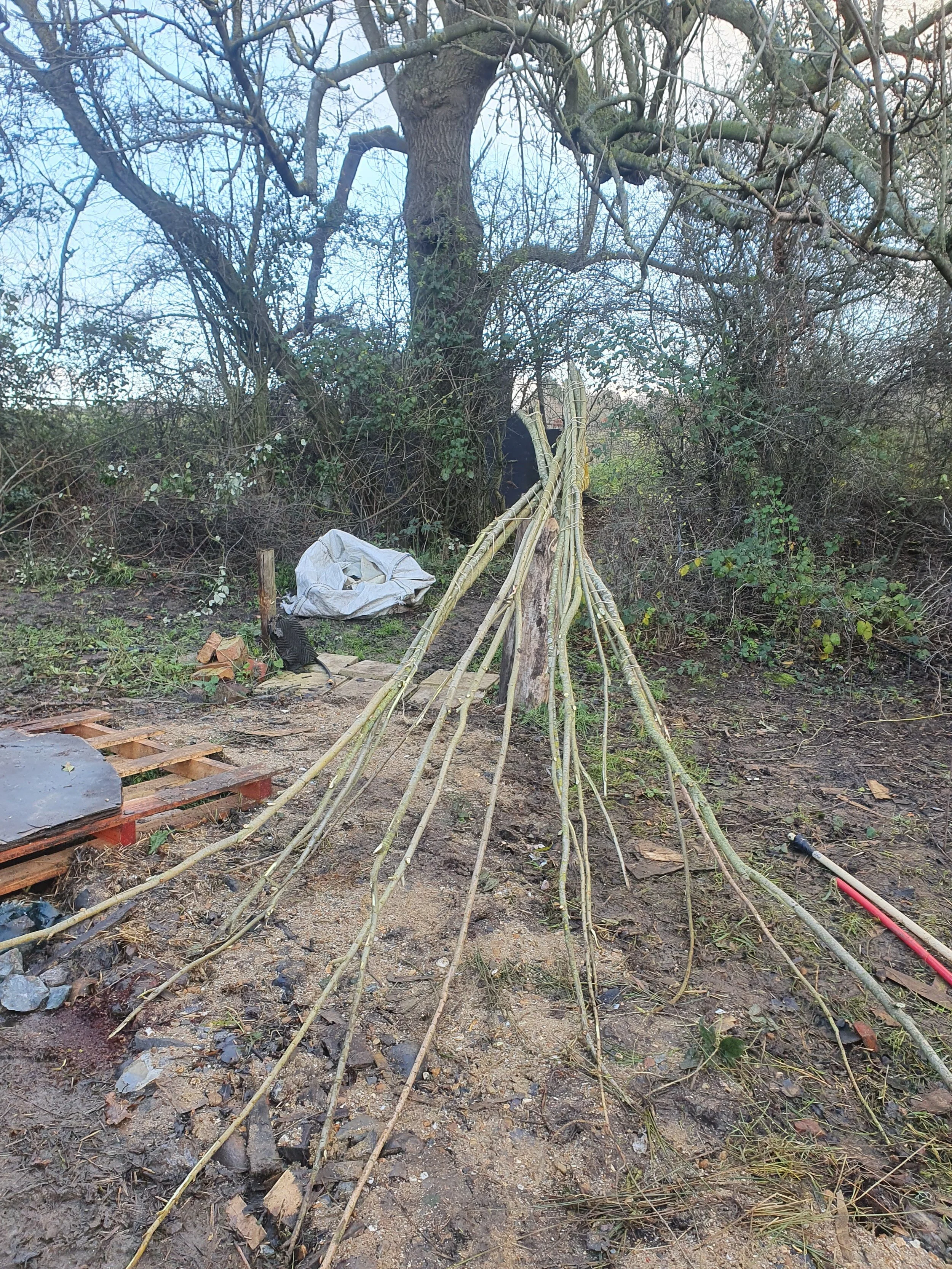 20201205_140312.jpg