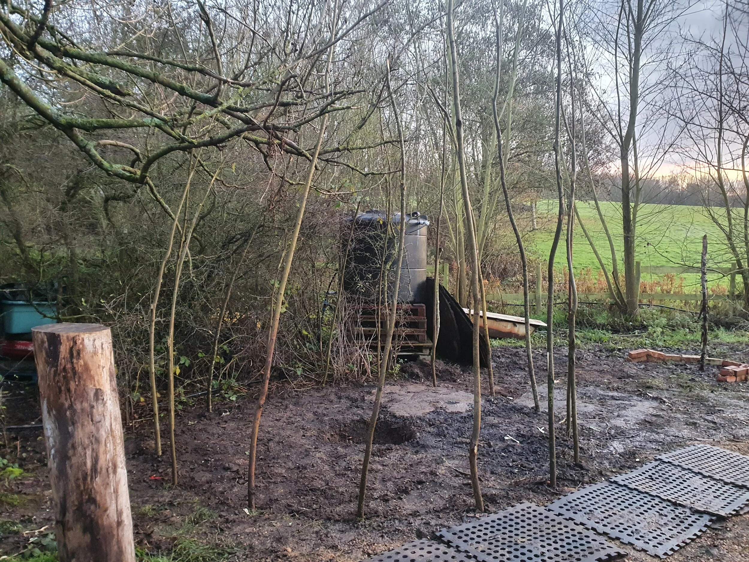 20201206_154937.jpg