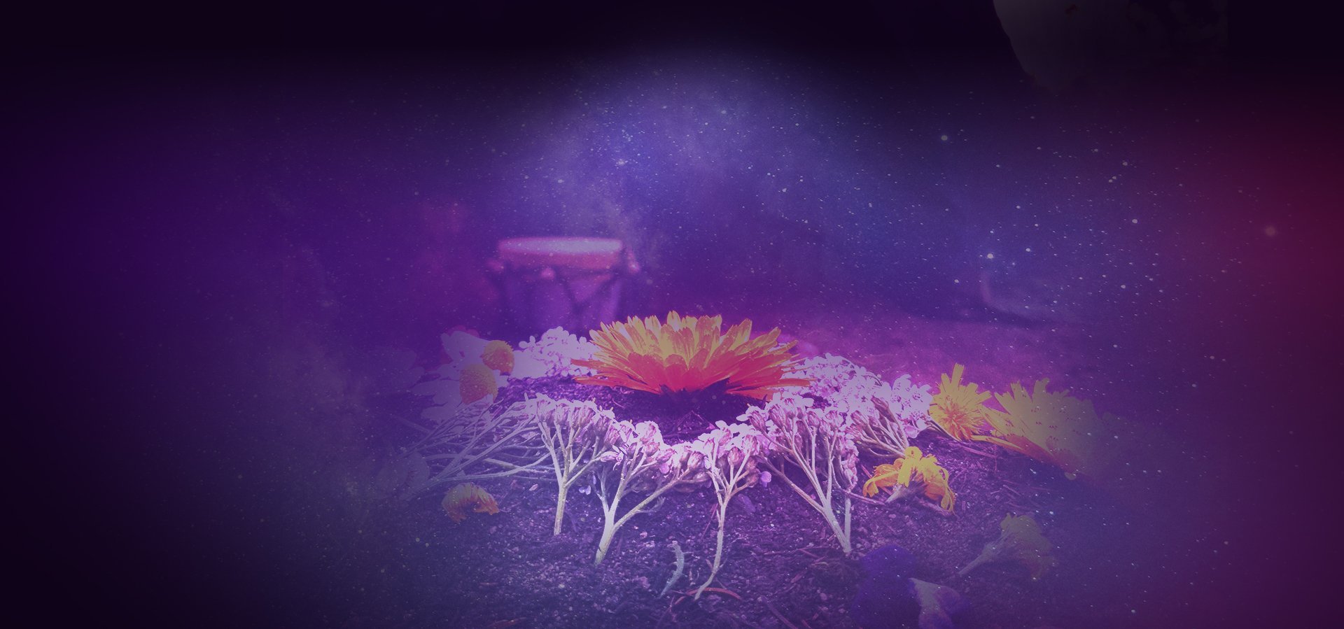 Beltane Sweat & Purification Lodge Ceremony Weekend, The Flowering of Nature.