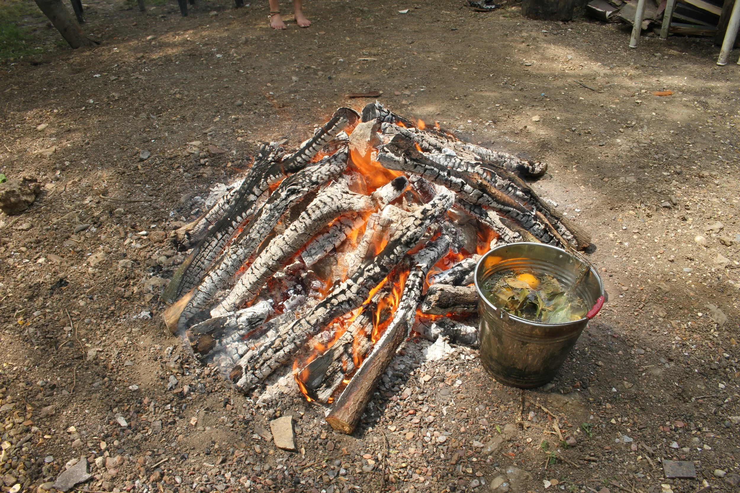 IMG_5872.JPG