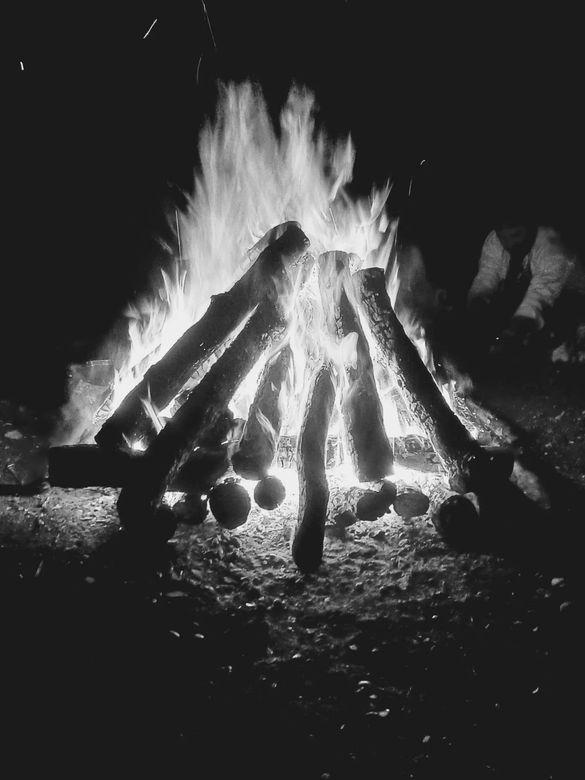 WhatsApp Image 2023-06-21 at 13.46.16.jpeg