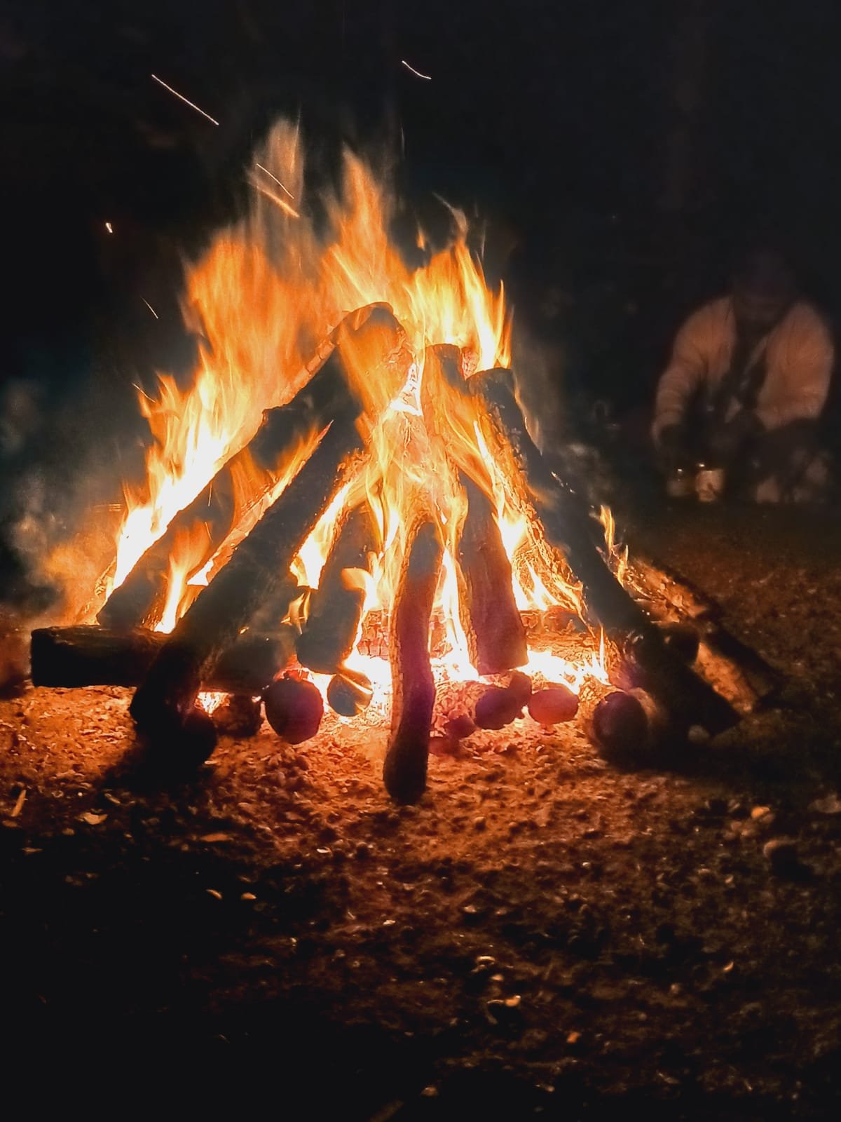 WhatsApp Image 2023-06-21 at 13.46.51.jpeg