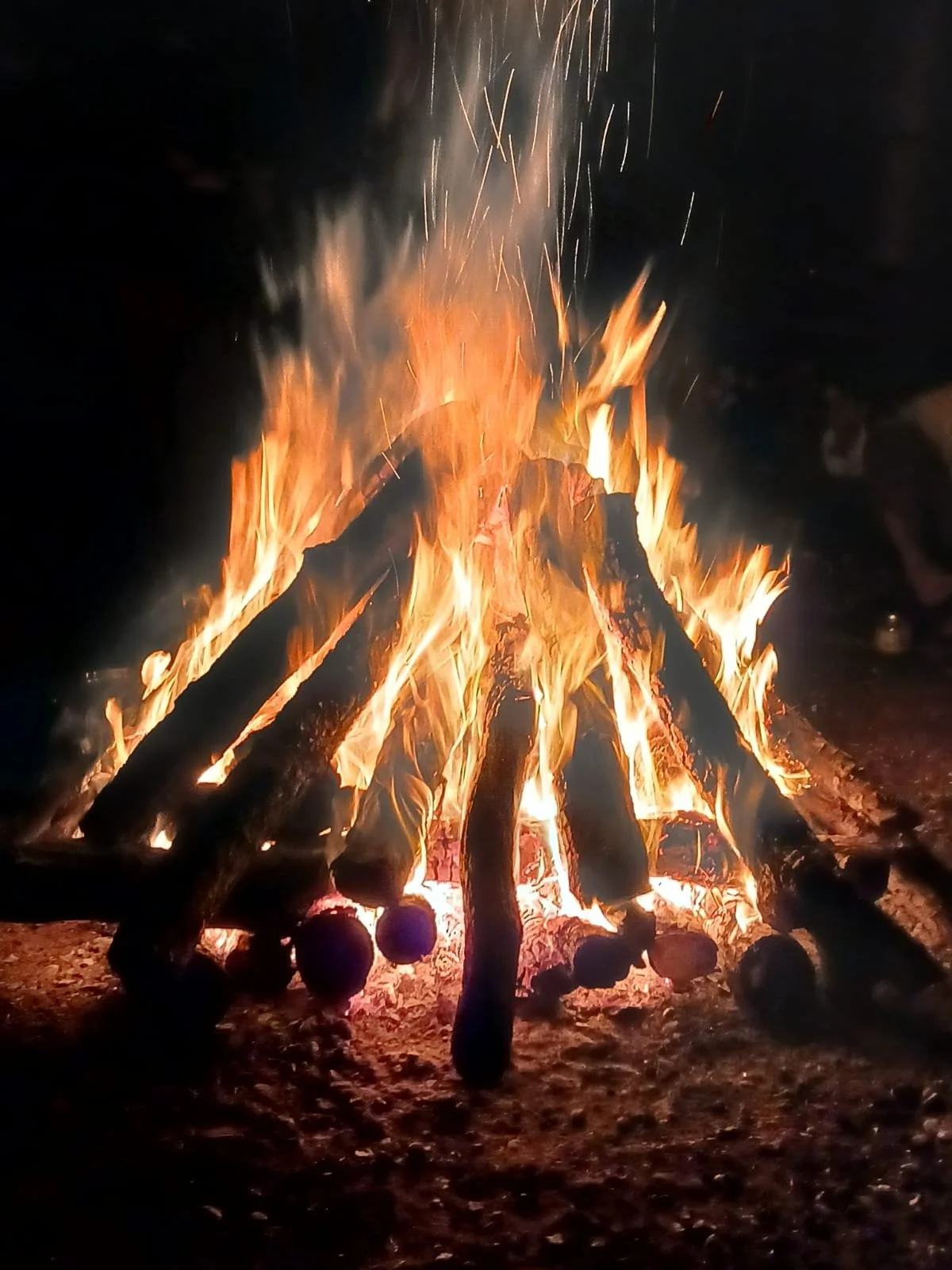 WhatsApp Image 2023-06-21 at 13.47.08.jpeg