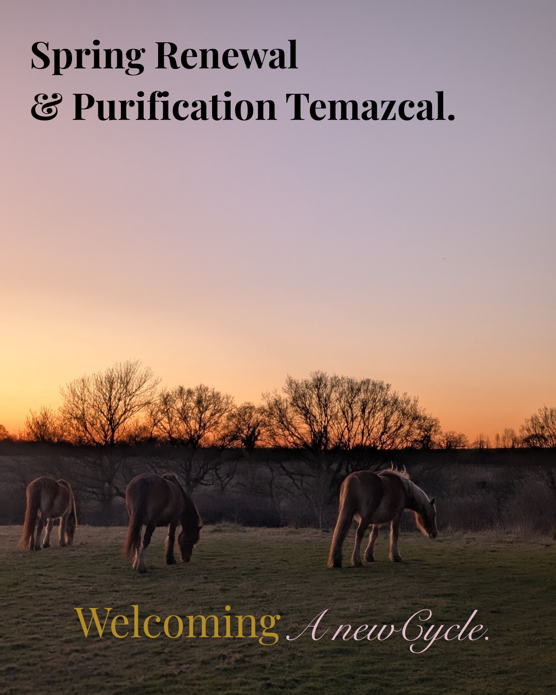  Sweat &amp; Purification Lodge Ceremony.   