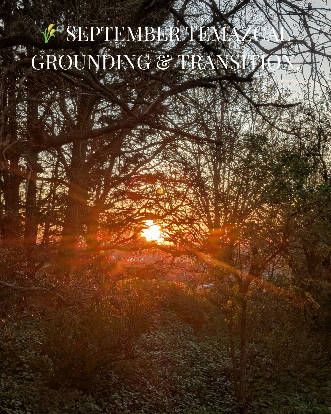 Sweat & Purification Lodge Ceremony.