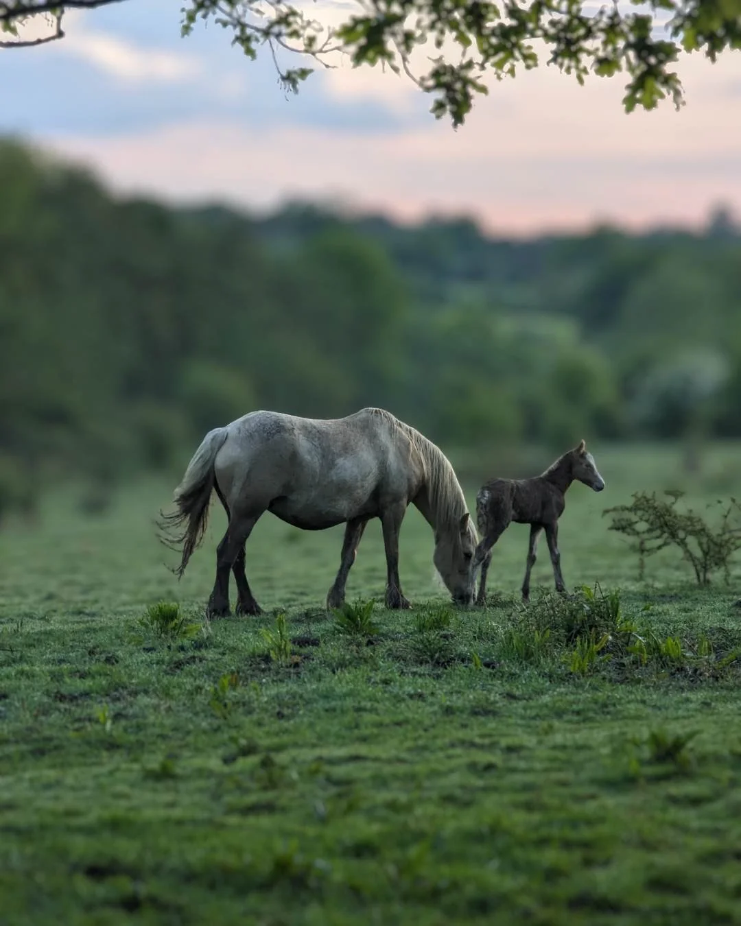 Nature-city-corporate-detox