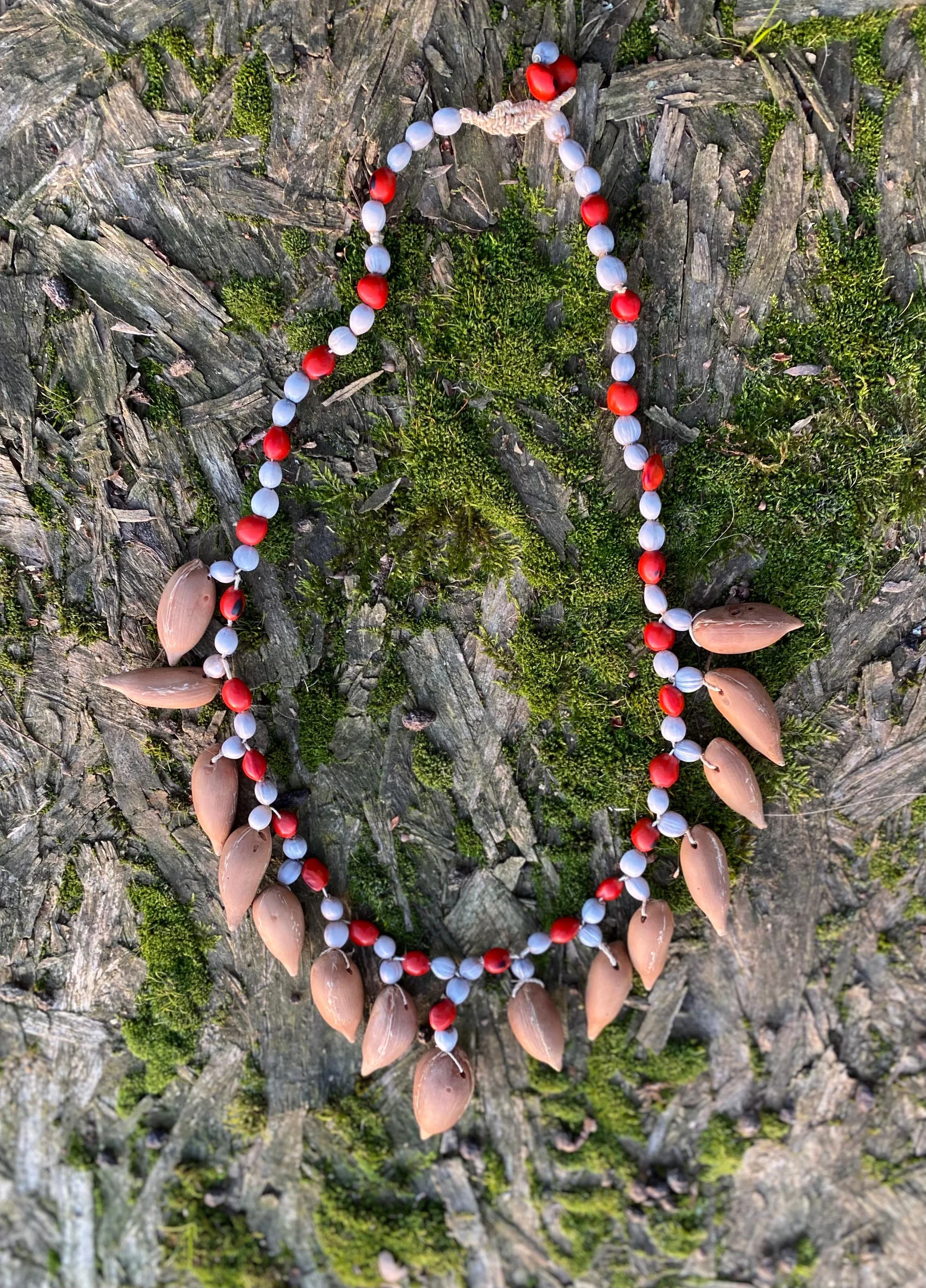 WhatsApp Image 2026-01-05 at 11.39.46 AM (1).jpeg