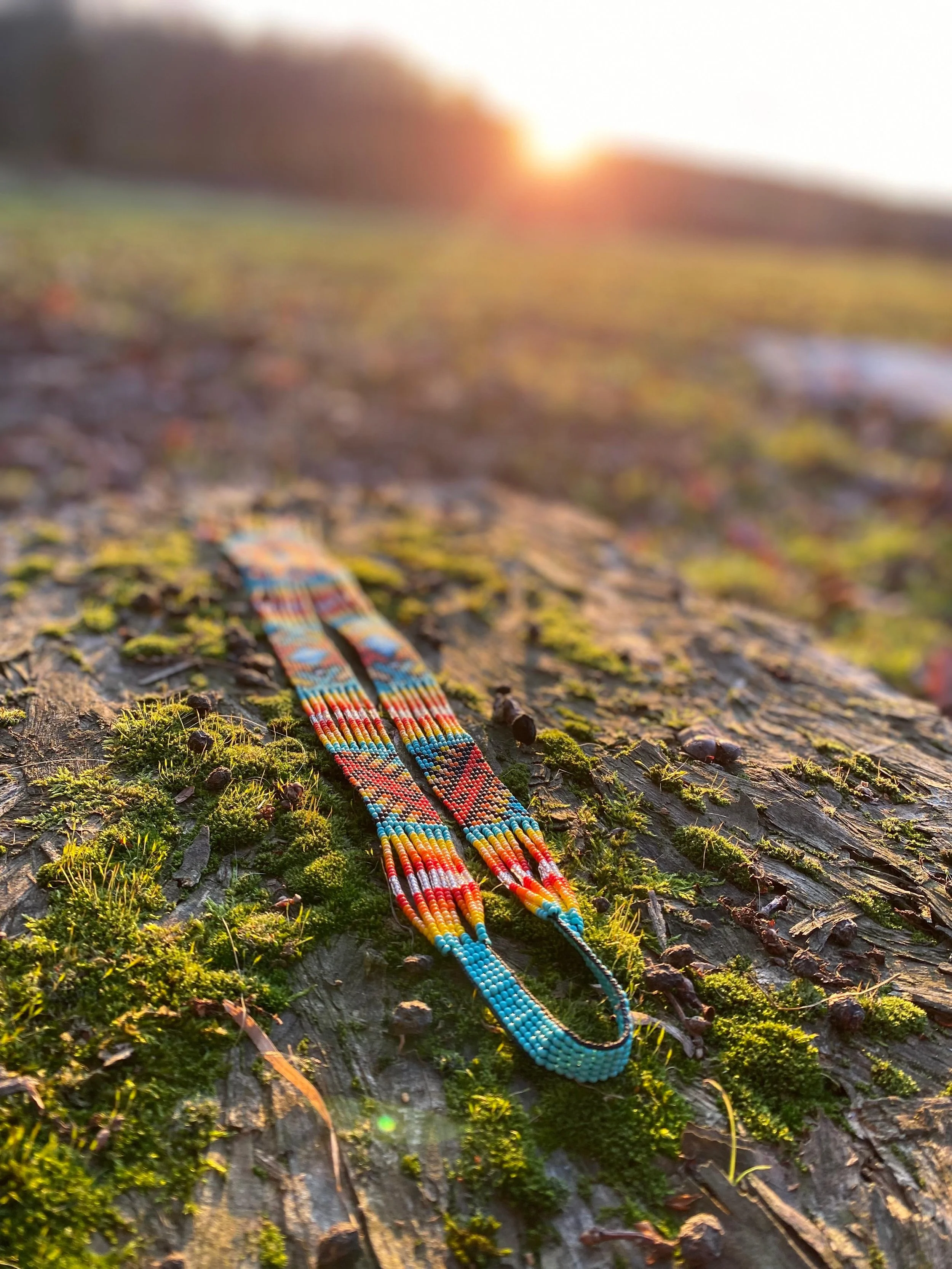 WhatsApp Image 2026-01-05 at 11.39.24 AM.jpeg