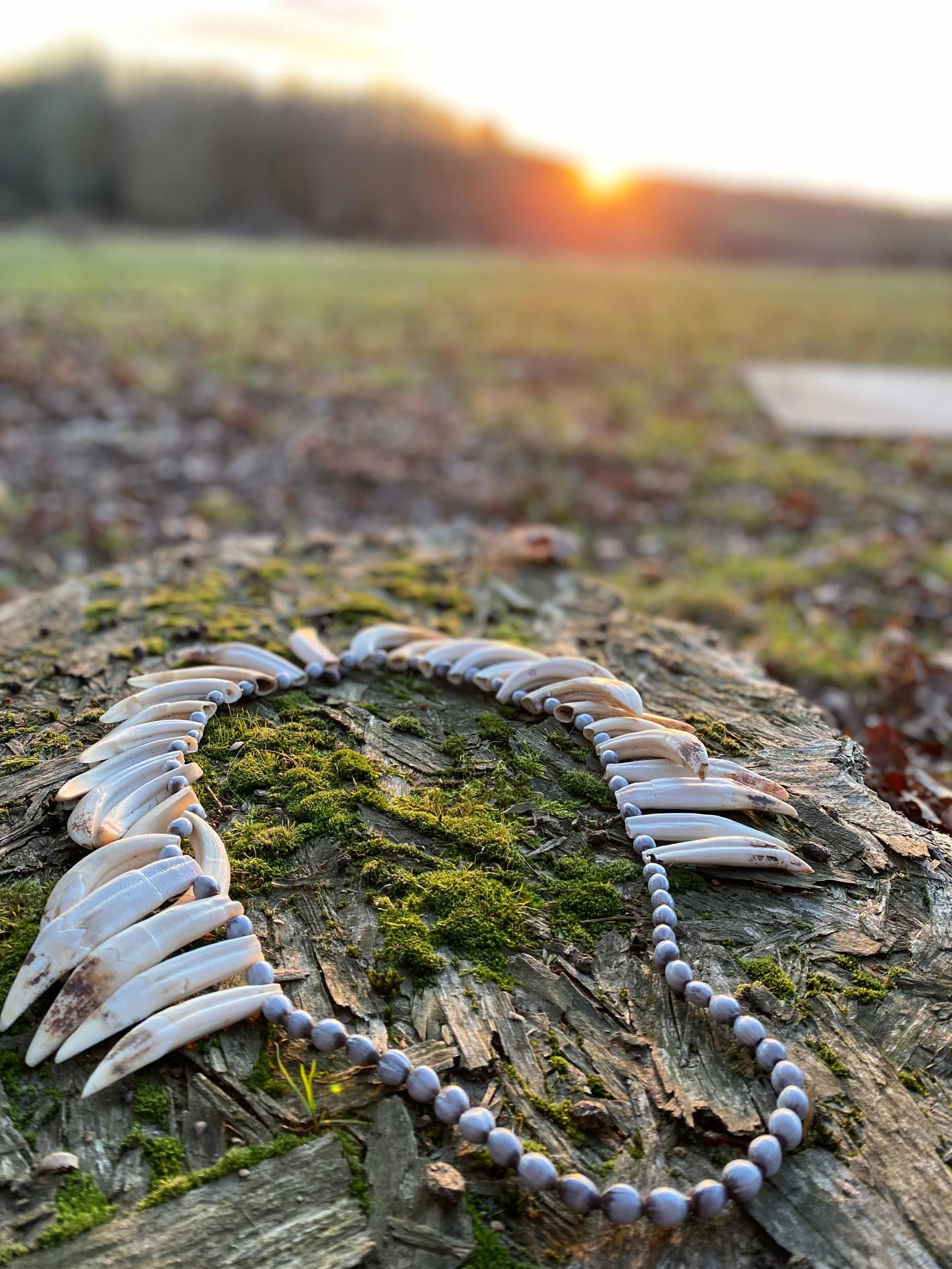 WhatsApp Image 2026-01-05 at 11.39.45 AM (6).jpeg