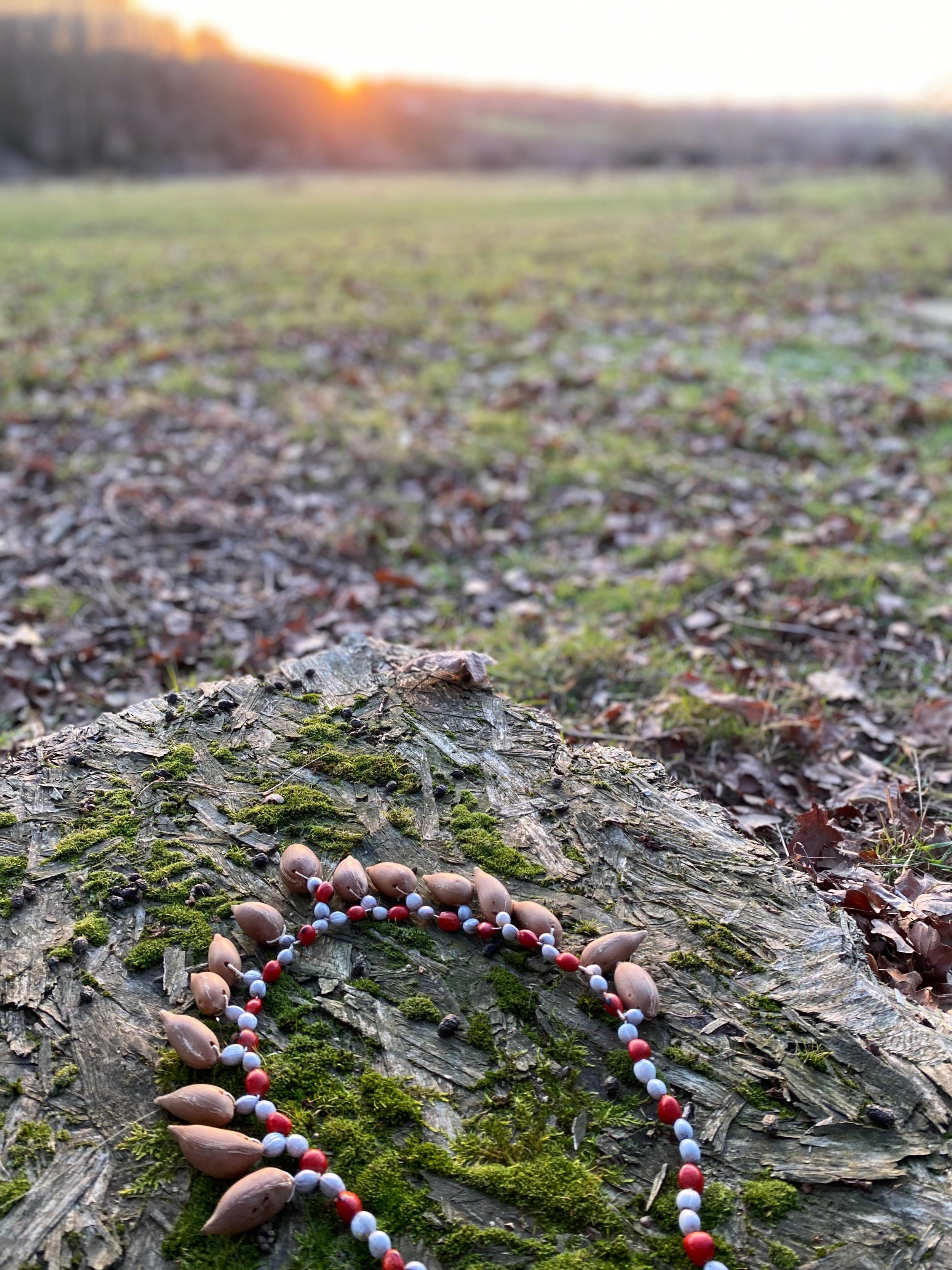 WhatsApp Image 2026-01-05 at 11.39.46 AM (2).jpeg